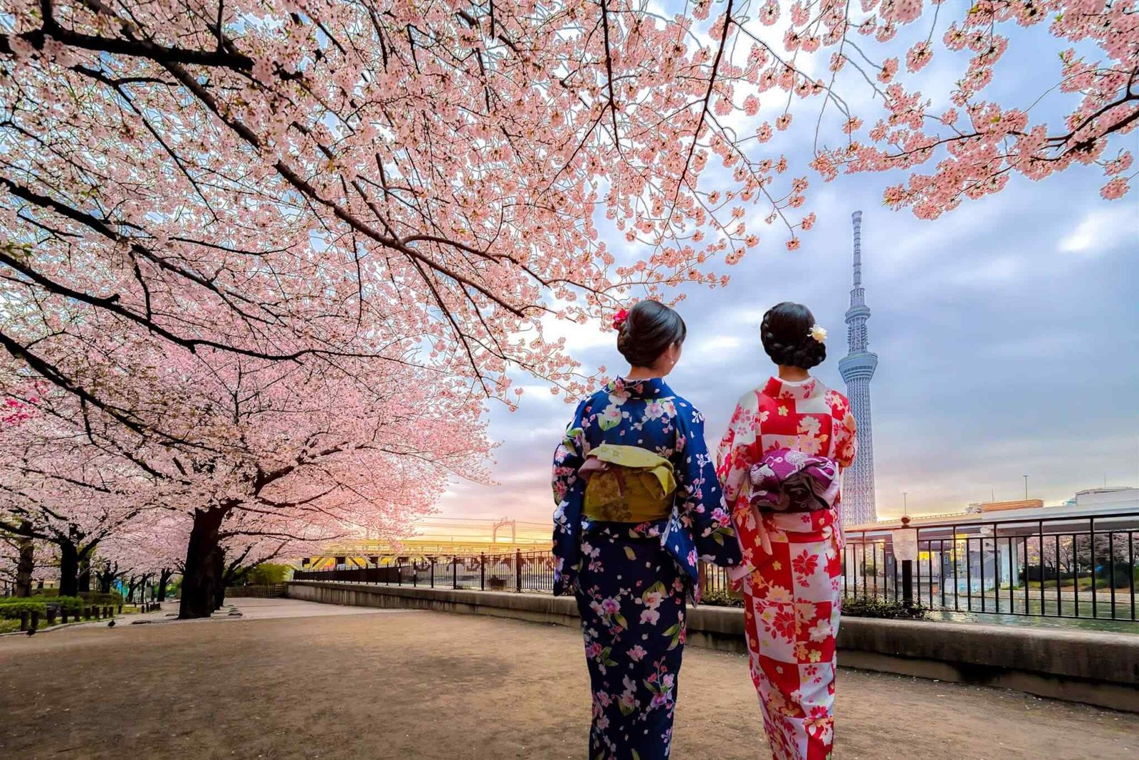 https://akimbatours.com/wp-content/uploads/2018/09/destination-tokyo-03.jpg