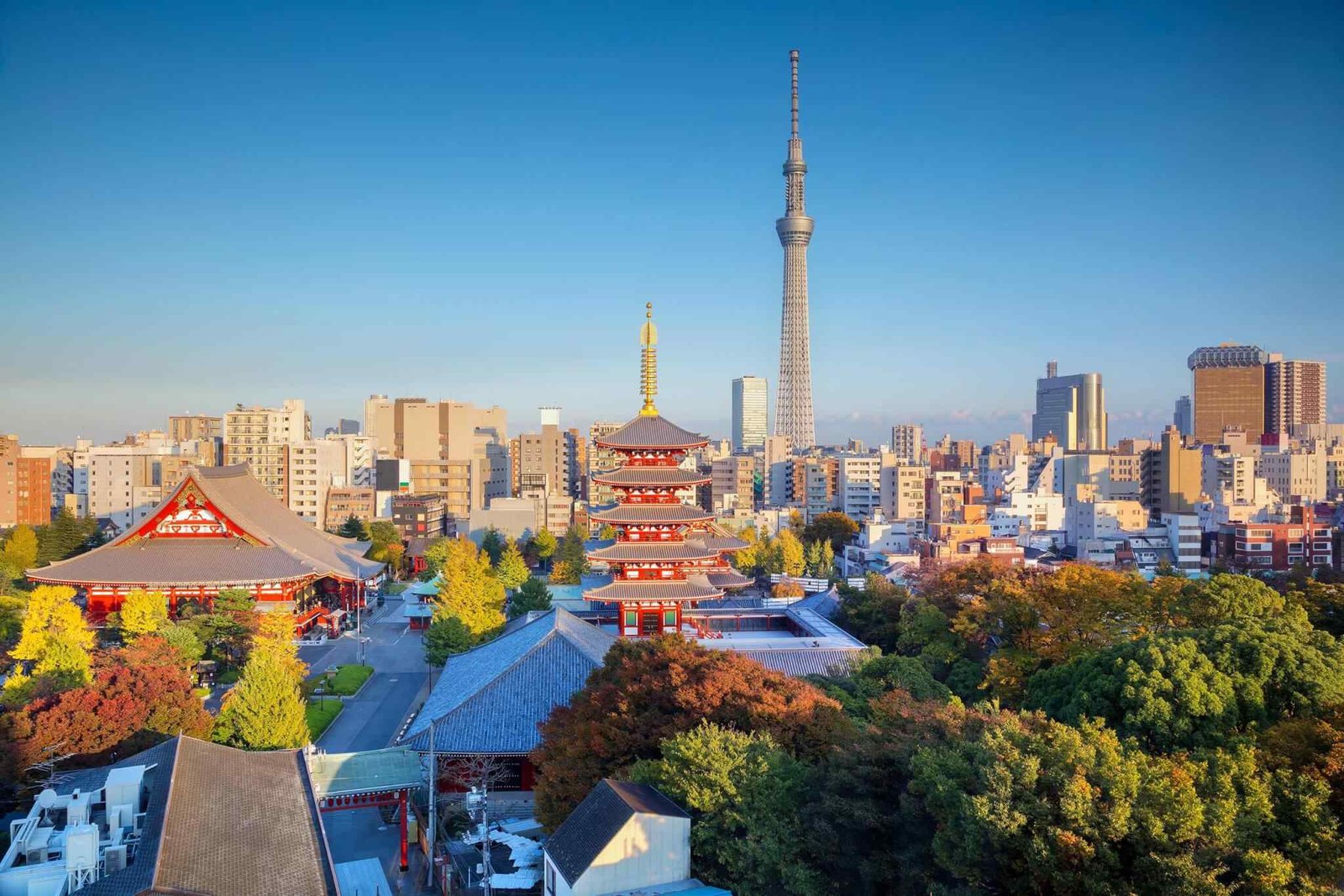 https://akimbatours.com/wp-content/uploads/2018/09/destination-tokyo-04.jpg