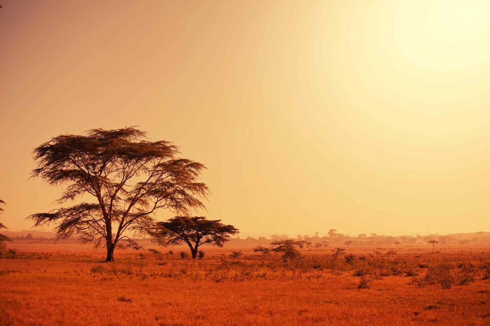 https://akimbatours.com/wp-content/uploads/2018/09/tour-africa-02.jpg