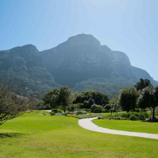 https://akimbatours.com/wp-content/uploads/2018/09/tour-capetown-03-320x320.jpg