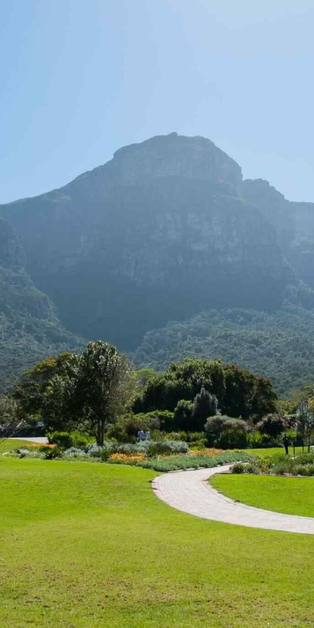 https://akimbatours.com/wp-content/uploads/2018/09/tour-capetown-03-640x1280.jpg
