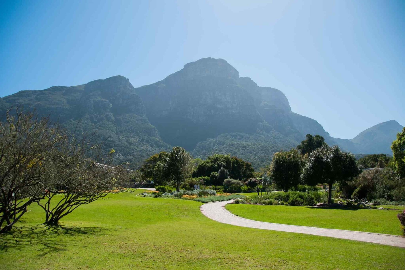 https://akimbatours.com/wp-content/uploads/2018/09/tour-capetown-03.jpg