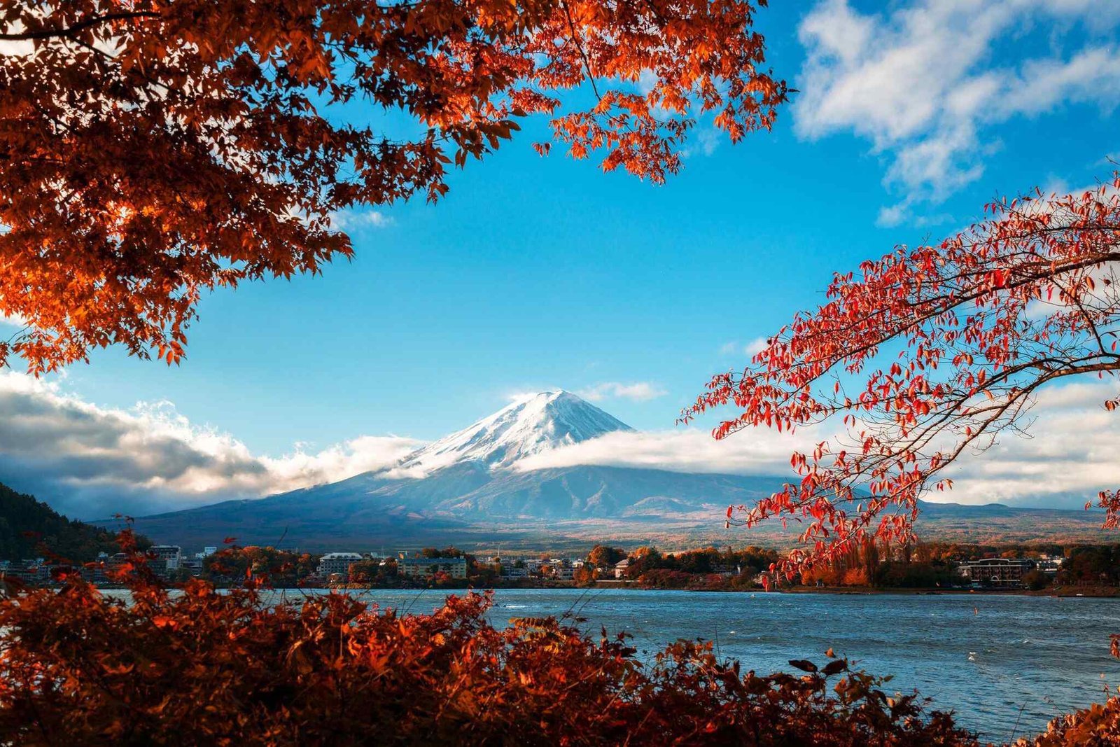 https://akimbatours.com/wp-content/uploads/2018/09/tour-fuji-04.jpg